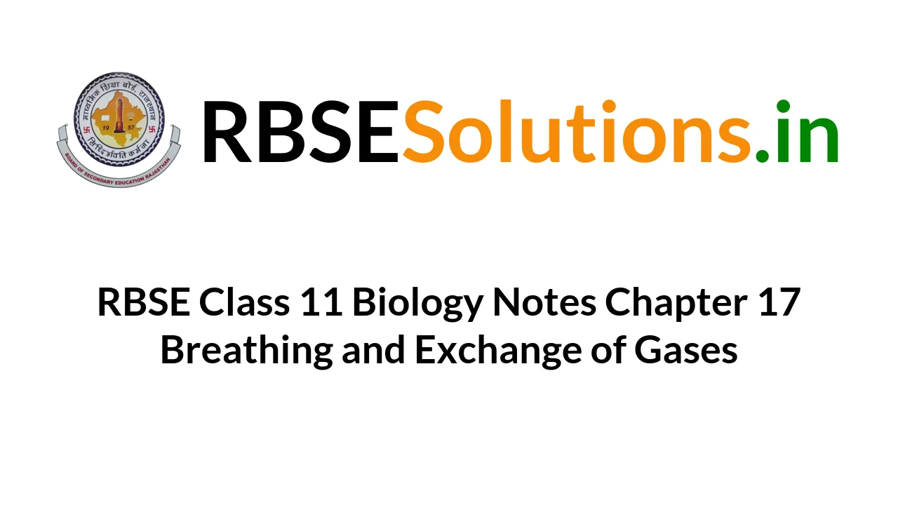 RBSE Class 11 Biology Notes Chapter 17 Breathing And Exchange Of Gases