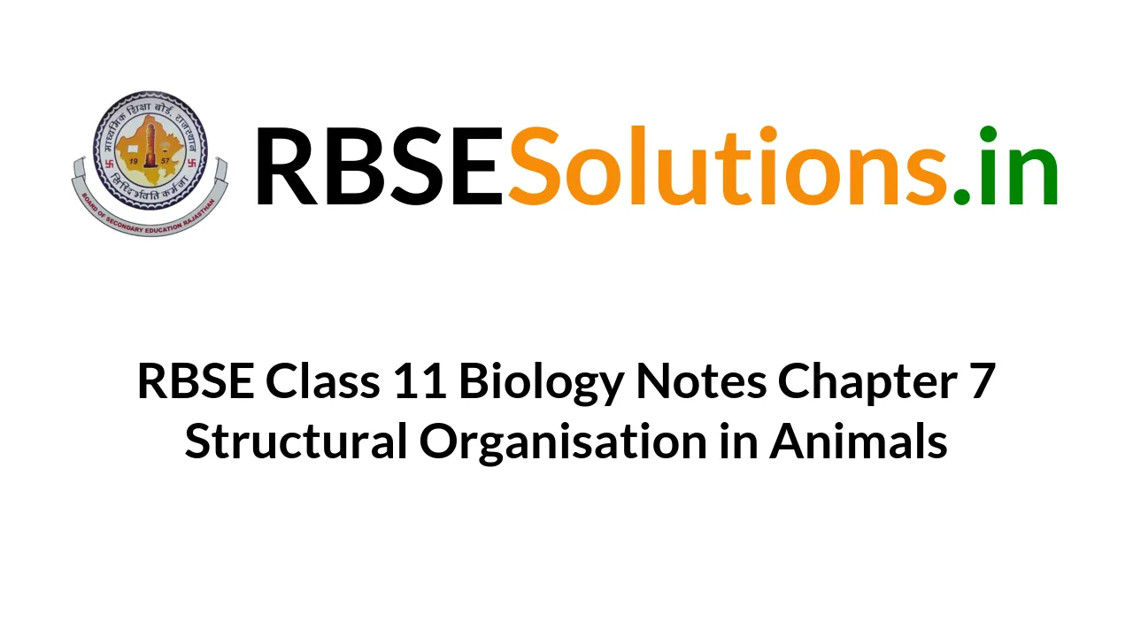 RBSE Class 11 Biology Notes Chapter 7 Structural Organisation in Animals RBSE Class 11 Biology Notes Chapter 7 Structural Organisation in Animals