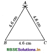 RBSE Solutions for Class 9 Maths Chapter 11 Constructions Ex 11.1 9