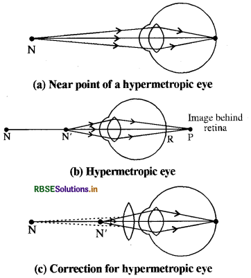 rbse-class-10-science-important-questions-chapter-11-human-eye-and-colourful-world-img-11.png