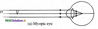 rbse-class-10-science-important-questions-chapter-11-human-eye-and-colourful-world-img-4.png