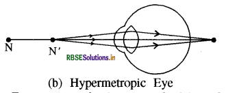 rbse-class-10-science-important-questions-chapter-11-human-eye-and-colourful-world-img-5.png