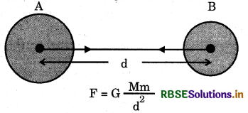 RBSE Class 9 Science Important Questions Chapter 10 Gravitation 10