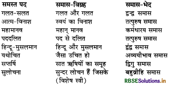 RBSE Solutions for Class 10 Hindi Kshitij Chapter 17 संस्कृति 1