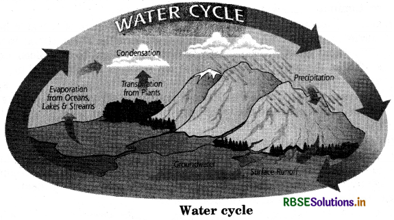 RBSE Class 9 Science Important Questions Chapter 14 Natural Resources 4