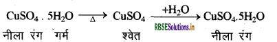 RBSE Class 10 Science Important Questions Chapter 2 अम्ल, क्षारक एवं लवण 12