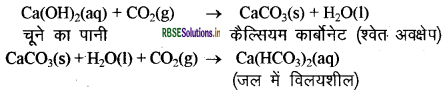 RBSE Class 10 Science Important Questions Chapter 2 अम्ल, क्षारक एवं लवण 6