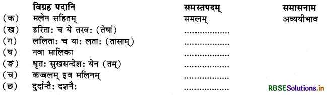 RBSE Solutions for Class 10 Sanskrit Shemushi Chapter 1 शुचिपर्यावरणम् 1