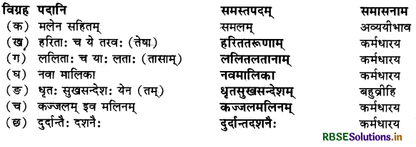 RBSE Solutions for Class 10 Sanskrit Shemushi Chapter 1 शुचिपर्यावरणम् 2