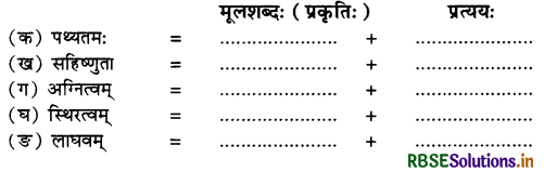 RBSE Solutions for Class 10 Sanskrit Shemushi Chapter 3 व्यायामः सर्वदा पथ्यः 1