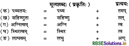 RBSE Solutions for Class 10 Sanskrit Shemushi Chapter 3 व्यायामः सर्वदा पथ्यः 2