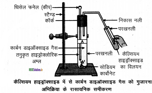 RBSE Class 10 Science Important Questions Chapter 2 अम्ल, क्षारक एवं लवण 20