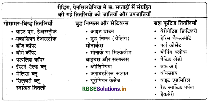 RBSE Solutions for Class 10 English Footprints without Feet Chapter 6 The Making of a Scientist 1