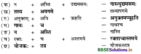 RBSE Solutions for Class 10 Sanskrit Shemushi Chapter 6 सुभाषितानि 2