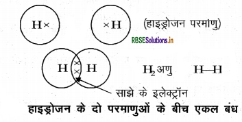 rbse-class-10-science-important-questions-chapter-4-img-10.png
