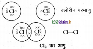 rbse-class-10-science-important-questions-chapter-4-img-11.png