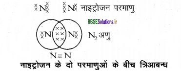 rbse-class-10-science-important-questions-chapter-4-img-13.png