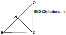 RBSE Class 9 Maths Important Questions Chapter 5 Introduction to Euclid’s Geometry 2