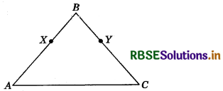 RBSE Class 9 Maths Important Questions Chapter 5 Introduction to Euclid’s Geometry 4