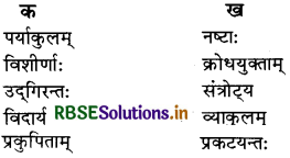 RBSE Solutions for Class 10 Sanskrit Shemushi Chapter 10 भूकंपविभीषिका 3