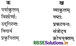 RBSE Solutions for Class 10 Sanskrit Shemushi Chapter 10 भूकंपविभीषिका 4