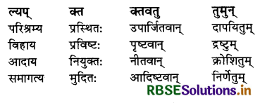RBSE Solutions for Class 10 Sanskrit Shemushi Chapter 8 विचित्रः साक्षी 1