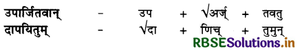 RBSE Solutions for Class 10 Sanskrit Shemushi Chapter 8 विचित्रः साक्षी 2