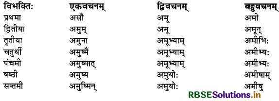 RBSE Solutions for Class 10 Sanskrit Shemushi Chapter 8 विचित्रः साक्षी 3