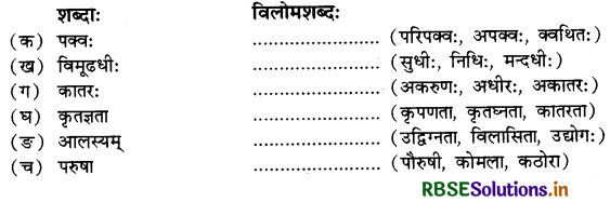 RBSE Solutions for Class 10 Sanskrit Shemushi Chapter 9 सूक्तयः 2