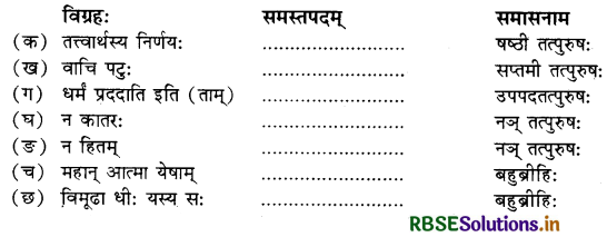 RBSE Solutions for Class 10 Sanskrit Shemushi Chapter 9 सूक्तयः 4