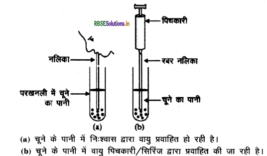 RBSE Class 10 Science Important Questions Chapter 6 जैव प्रक्रम 11