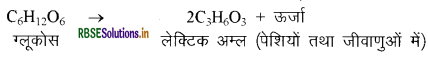RBSE Class 10 Science Important Questions Chapter 6 जैव प्रक्रम 5