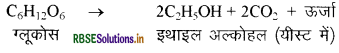 RBSE Class 10 Science Important Questions Chapter 6 जैव प्रक्रम 6