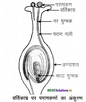 rbse-class-10-science-important-questions-chapter-8-img-12.png