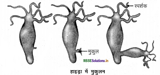 rbse-class-10-science-important-questions-chapter-8-img-16.png