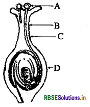 rbse-class-10-science-important-questions-chapter-8-img-3.png