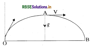 RBSE Solutions for Class 9 Science Chapter 8 गति 17