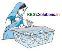 RBSE Solutions for Class 10 Maths Chapter 15 Probability Ex 15.1 Q11