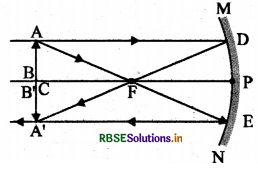 RBSE Class 10 Science Important Questions Chapter 10 प्रकाश-परावर्तन तथा अपवर्तन 11