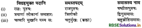 RBSE Class 10 Sanskrit व्याकरणम् समासः 12