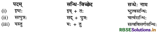 RBSE Class 10 Sanskrit व्याकरणम् सन्धिकार्यम् 14