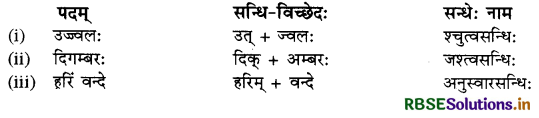 RBSE Class 10 Sanskrit व्याकरणम् सन्धिकार्यम् 15