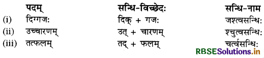 RBSE Class 10 Sanskrit व्याकरणम् सन्धिकार्यम् 16