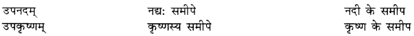 RBSE Class 10 Sanskrit व्याकरणम् समासः 3