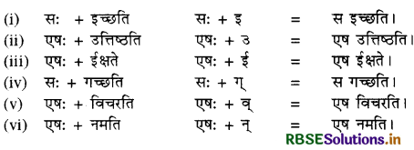 RBSE Class 10 Sanskrit व्याकरणम् सन्धिकार्यम् 5
