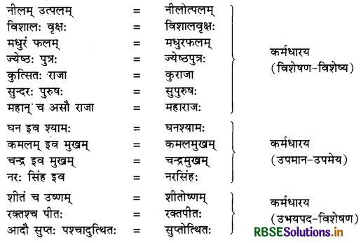RBSE Class 10 Sanskrit व्याकरणम् समासः 9