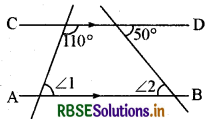 RBSE Class 9 Maths Important Questions Chapter 6 रेखाएँ और कोण 11