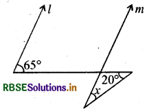 RBSE Class 9 Maths Important Questions Chapter 6 रेखाएँ और कोण 20