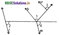 RBSE Class 9 Maths Important Questions Chapter 6 रेखाएँ और कोण 21