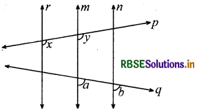 RBSE Class 9 Maths Important Questions Chapter 6 रेखाएँ और कोण 41